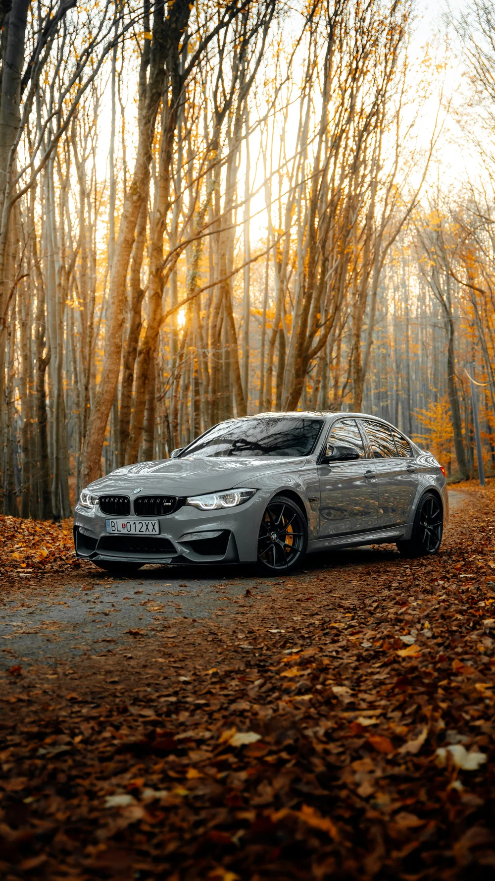 Szare BMW M3 CS na leśnej drodze wśród jesiennych liści, fotografia Martina Katlera